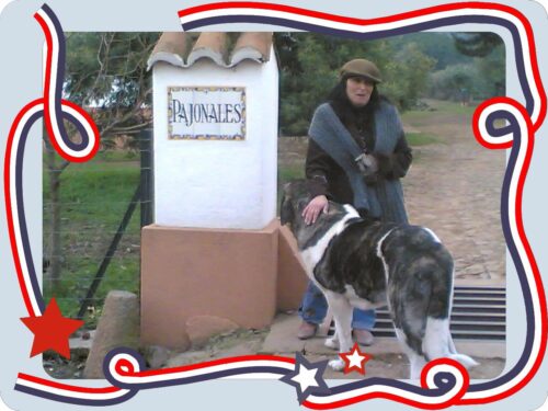 Pastilhas para o cuidado das articulações - 60 unidades (com 25 % de desconto) photo review