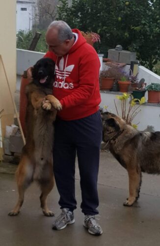 Pastilhas SciPet para o cuidado das articulações - 3 x 60 unidades (com 25 % de desconto) photo review