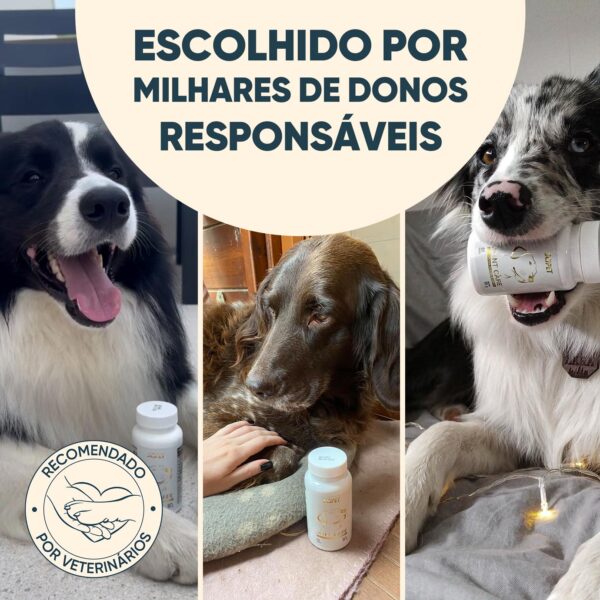 Recomendado por veterinários