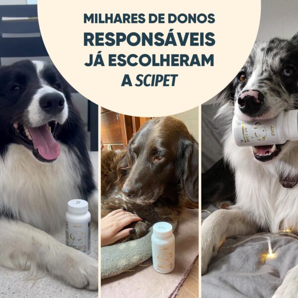 Escolhido por milhares de donos responsáveis.