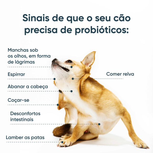 Probióticos SciPet para Cães – 60 un. - Image 2